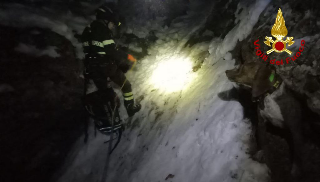 Sarnano - Cani da caccia finiscono in un canalone: salvati dai vigili del fuoco